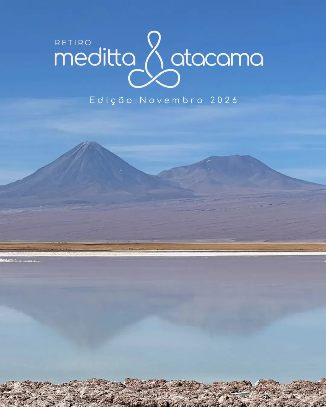 NOVO meditta CARROSSEL