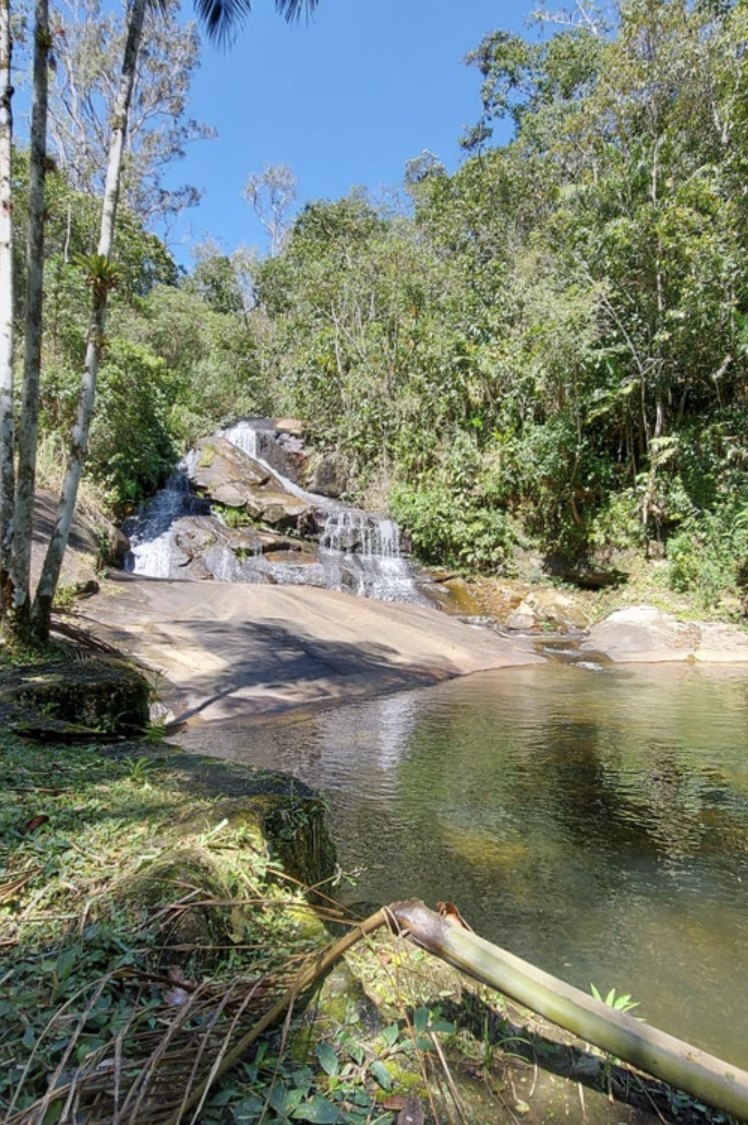 Captura de Tela 2026-03-28 às 17.12.14